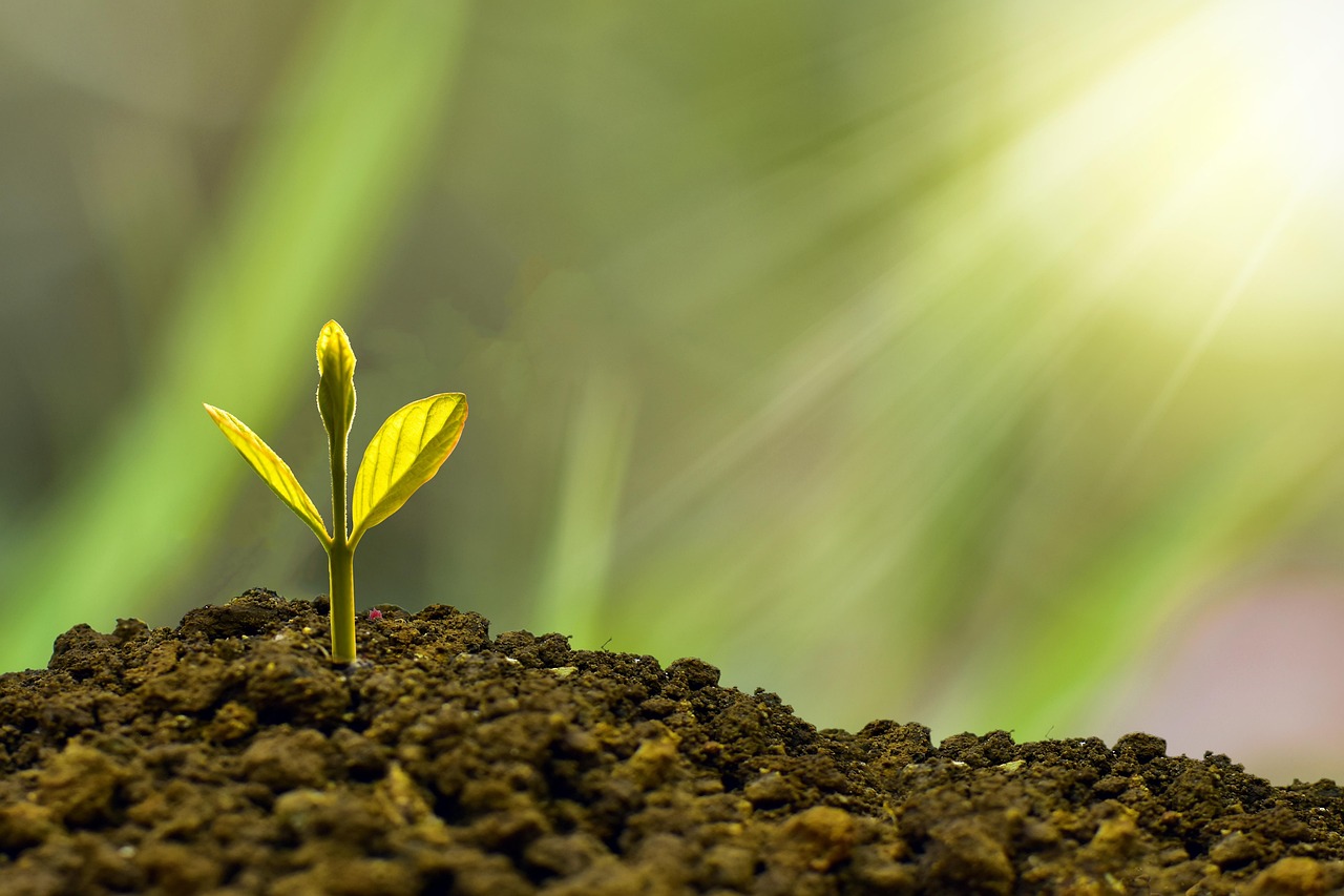 entdecken sie innovative anlagemöglichkeiten und strategien, um ihr vermögen nachhaltig zu vermehren. informieren sie sich über die besten investmentansätze für verschiedene zielgruppen und erfahren sie, wie sie profitabel in die zukunft investieren können.