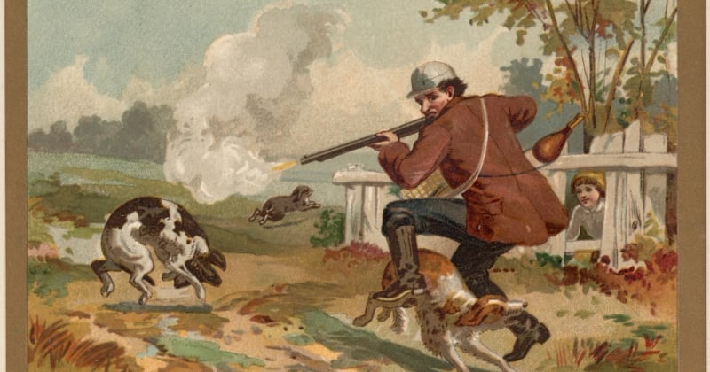 Jagdhunderassen im Überblick: Die besten Jagdhunde für die Jagd