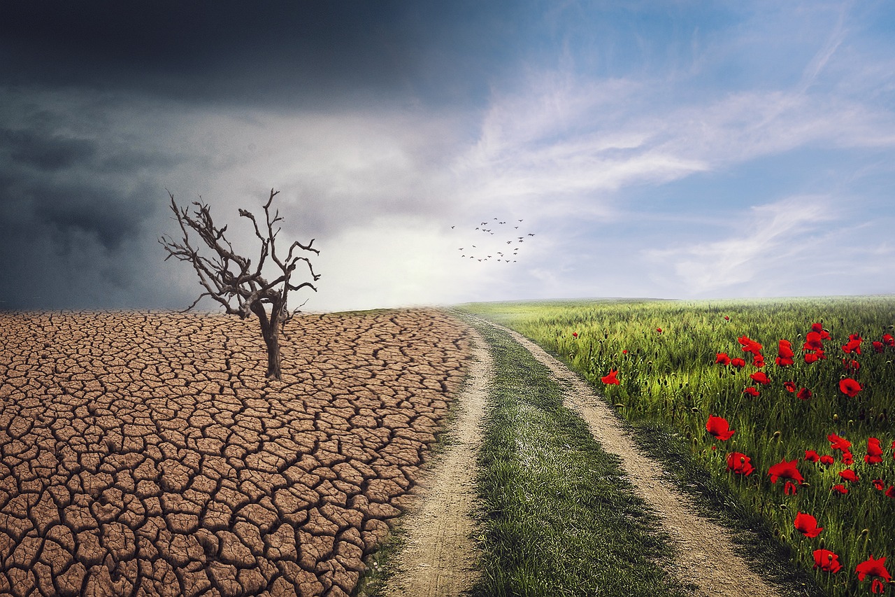 erfahren sie alles über den klimawandel: ursachen, auswirkungen und mögliche lösungen für eine nachhaltige zukunft. bleiben sie informiert über neueste wissenschaftliche erkenntnisse und globale maßnahmen im kampf gegen den klimawandel.